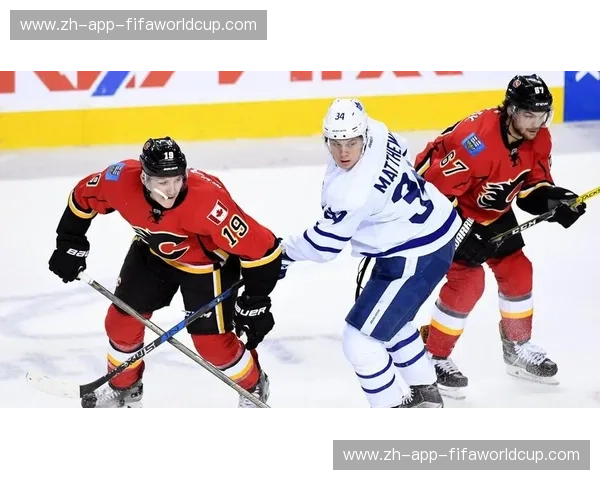 回放冰球：让每一刻精彩重现